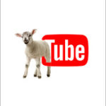 Lamb Network YouTube Link